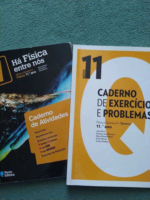 Física        11
