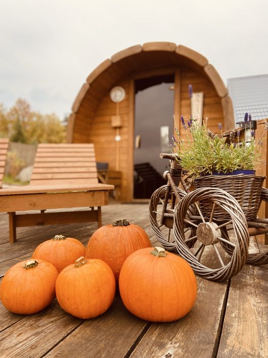 Całoroczny domek na Kaszubach balia, sauna, ognisko, klimatyzacja