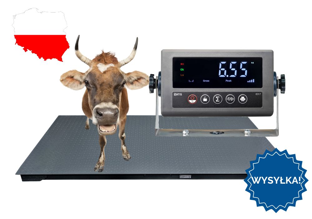 Waga inwentarzowa do Świń Krów Do Zwierząt 1,00x2,20 5T 5000kg DOSTAWA