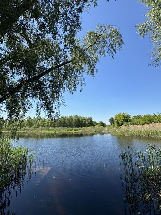 Аренда дома Вишенки 3 недалеко от Золоче рядом Днепр
