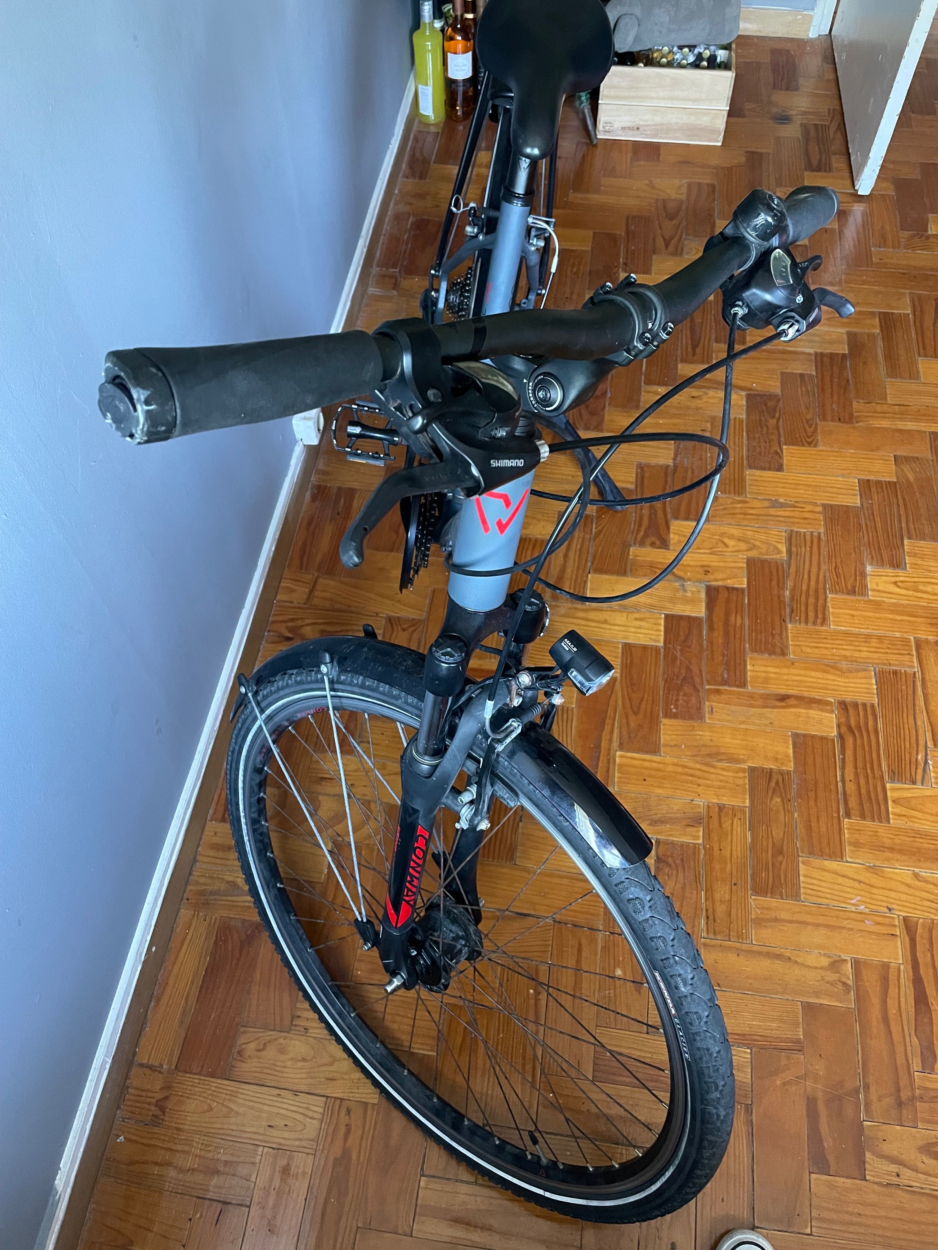 Bicicleta conway