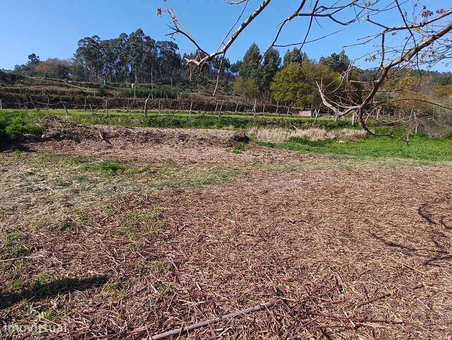 Terreno – Oliveira de Frades