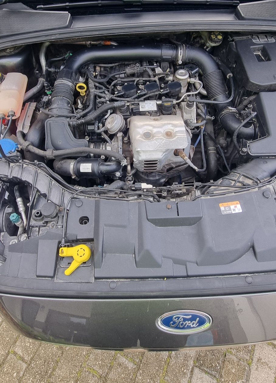 Ford Focus SW 1,0 EcoBoost 125 CV 2018
