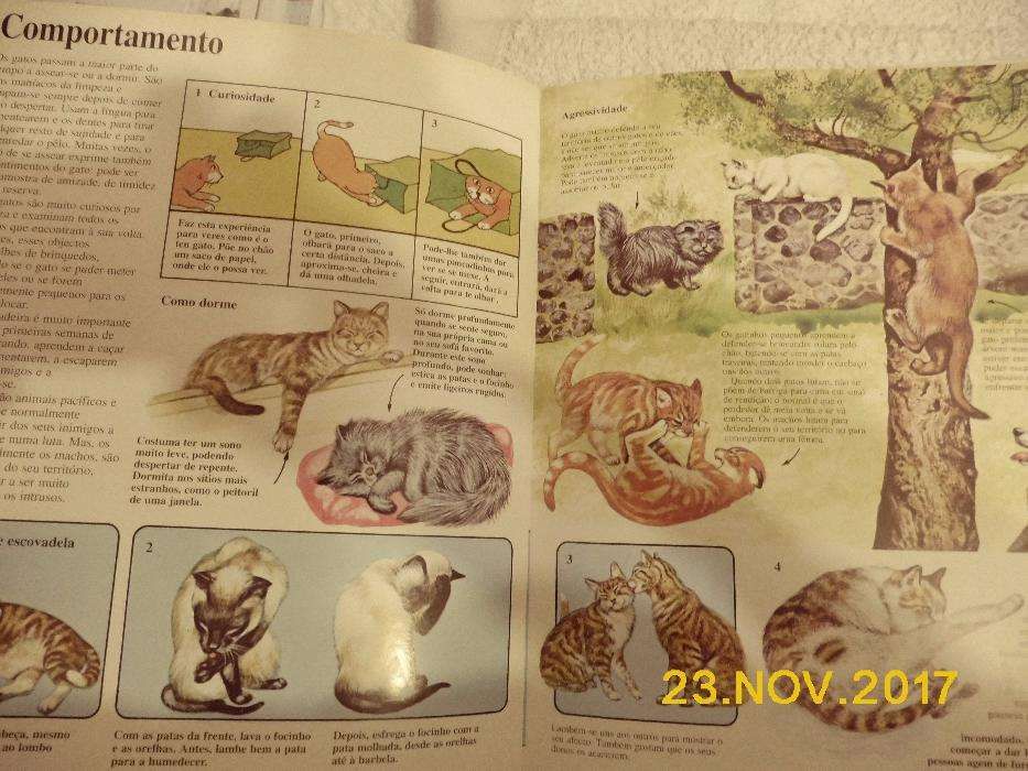 Livro sobre animais