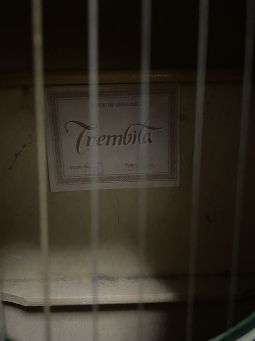 Гитара Trembita в подарок чехлом утеплением