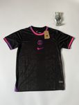 Футболка nike dri fit paris/psg/найк псж