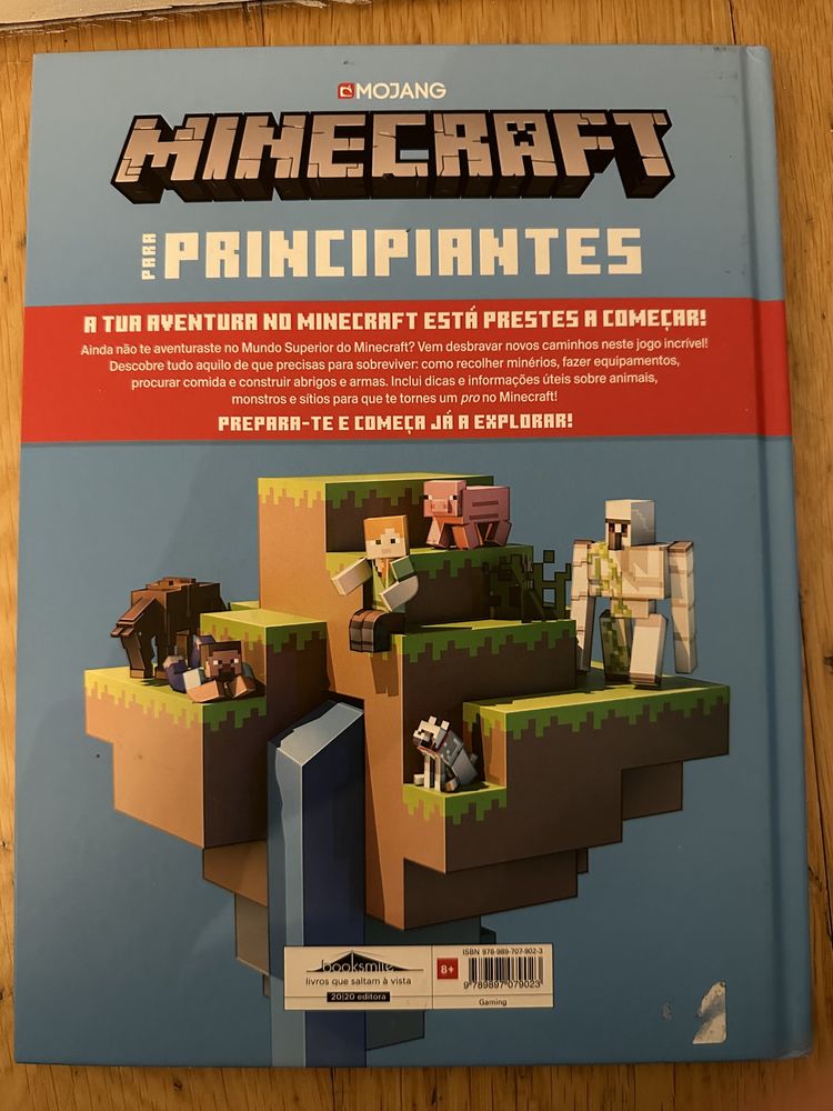 Livros Minecraft