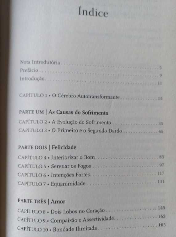Cérebro de Buda - Dr. Rick Hanson e Dr. Richard Mendius
