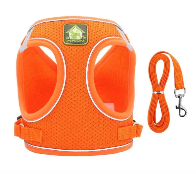 Conjunto De Arnês e trela