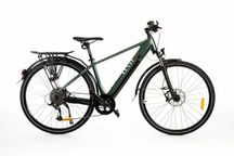 Levit Musca Hd 468 Over Green 21 "G"