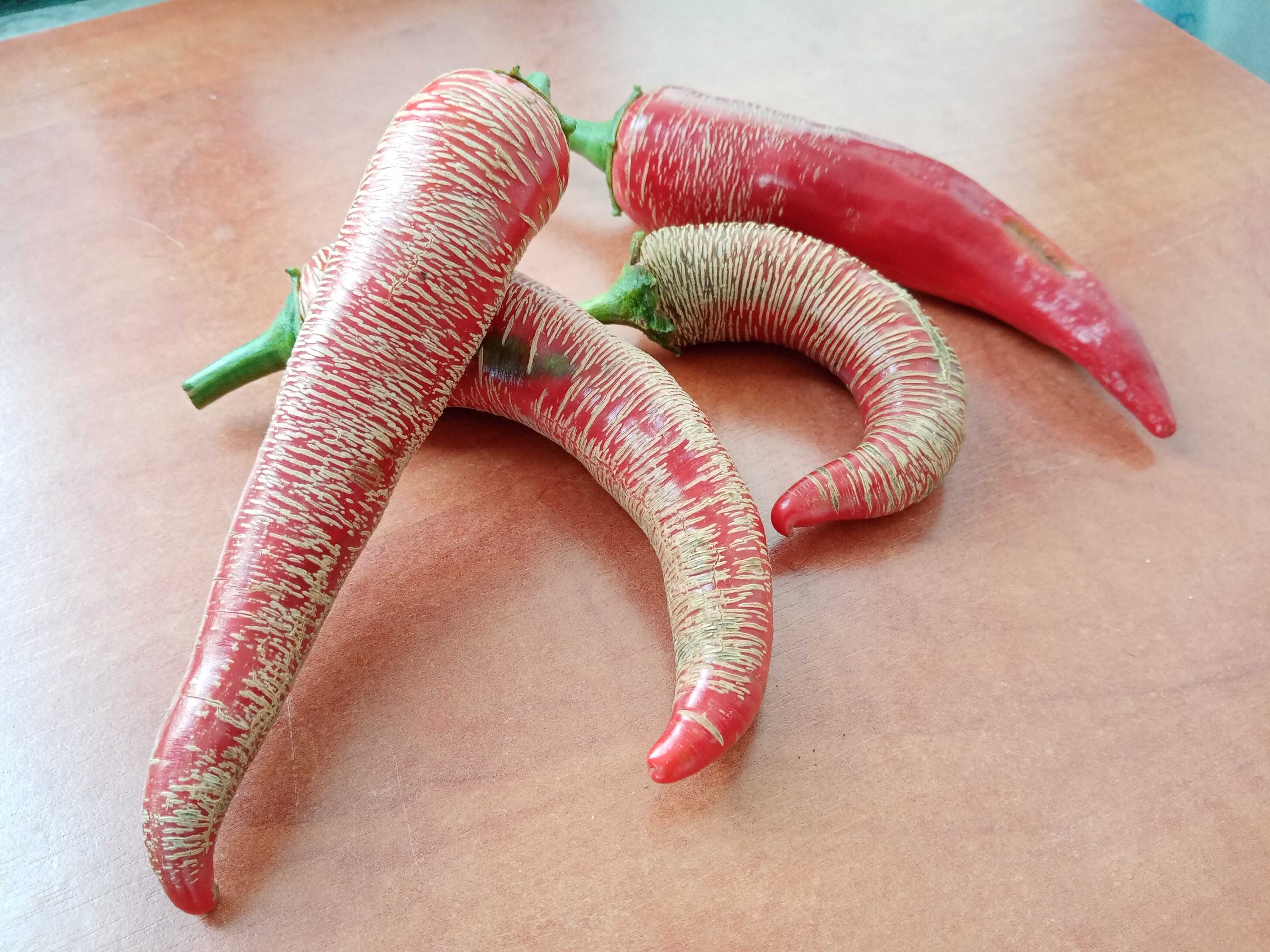 12 sementes de pimenta Vezanka