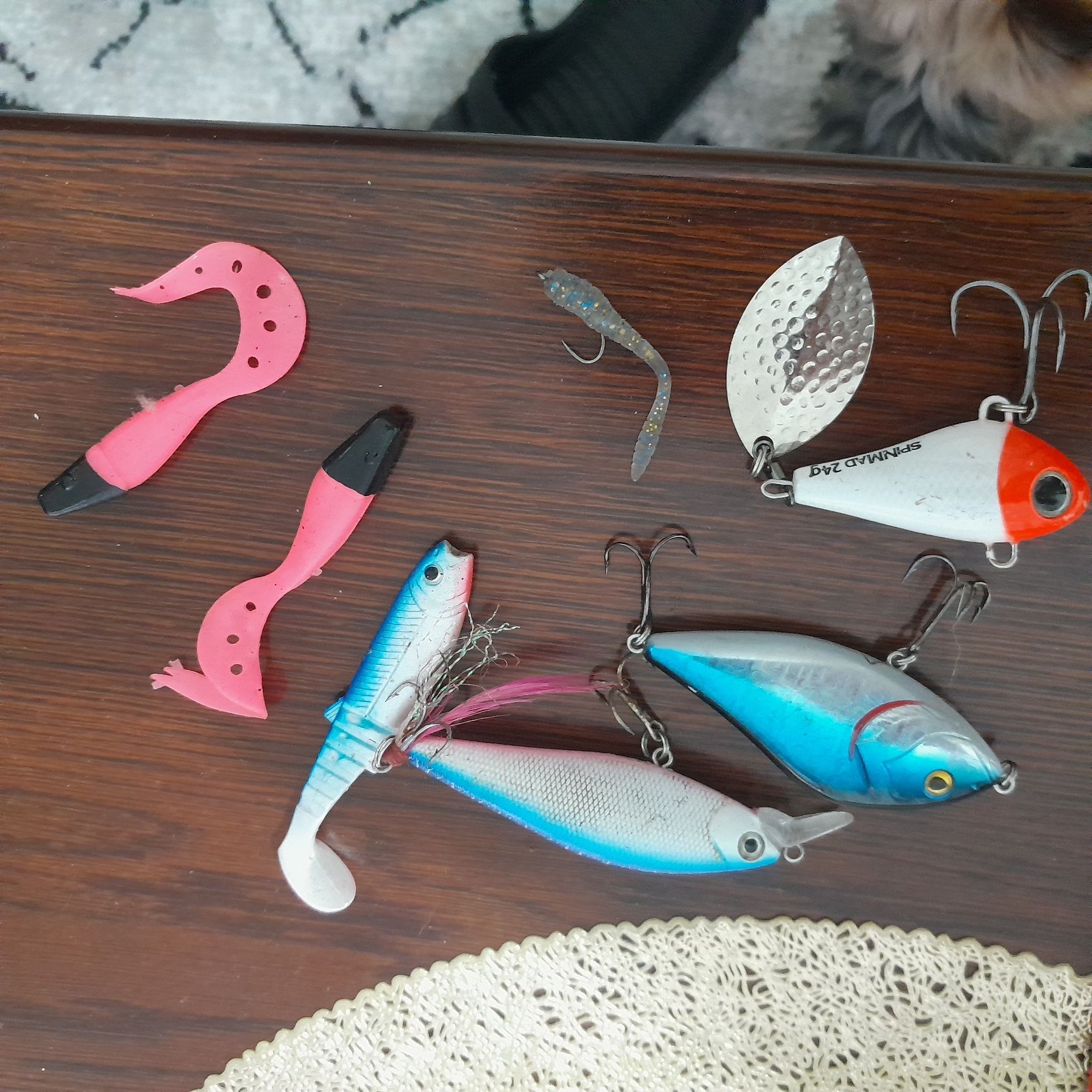 wędka feeder i tyczka I Gumy
