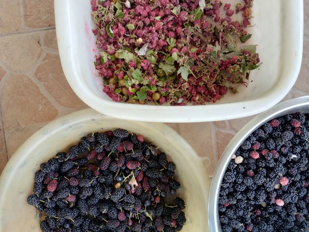 Продам ягоды по сезону