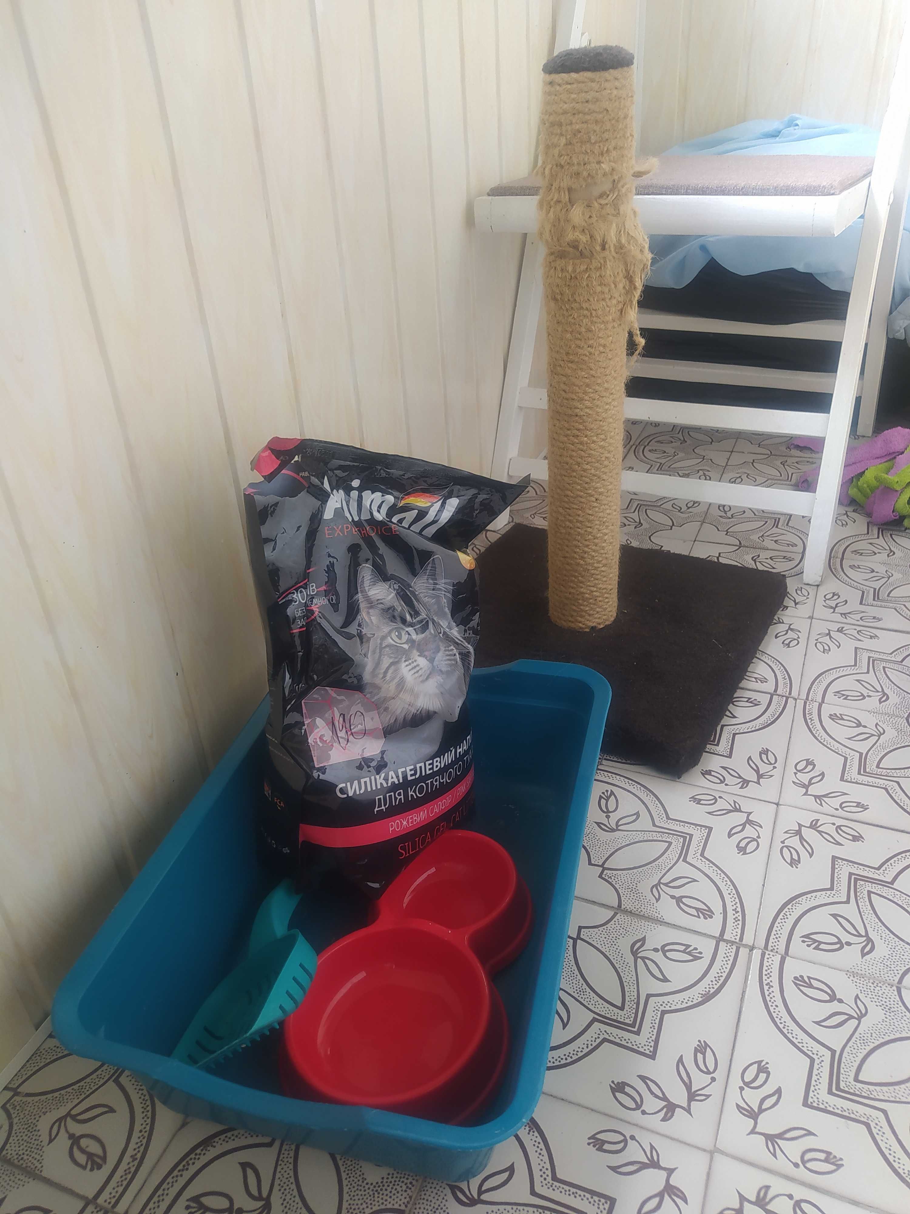 Кігтеточка, будиночок для кота, лоток, силікагелевий наповнювач