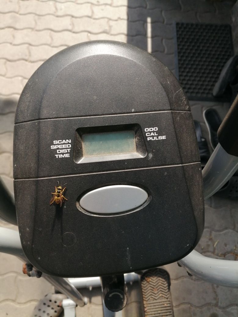 Stepper do ćwiczeń.