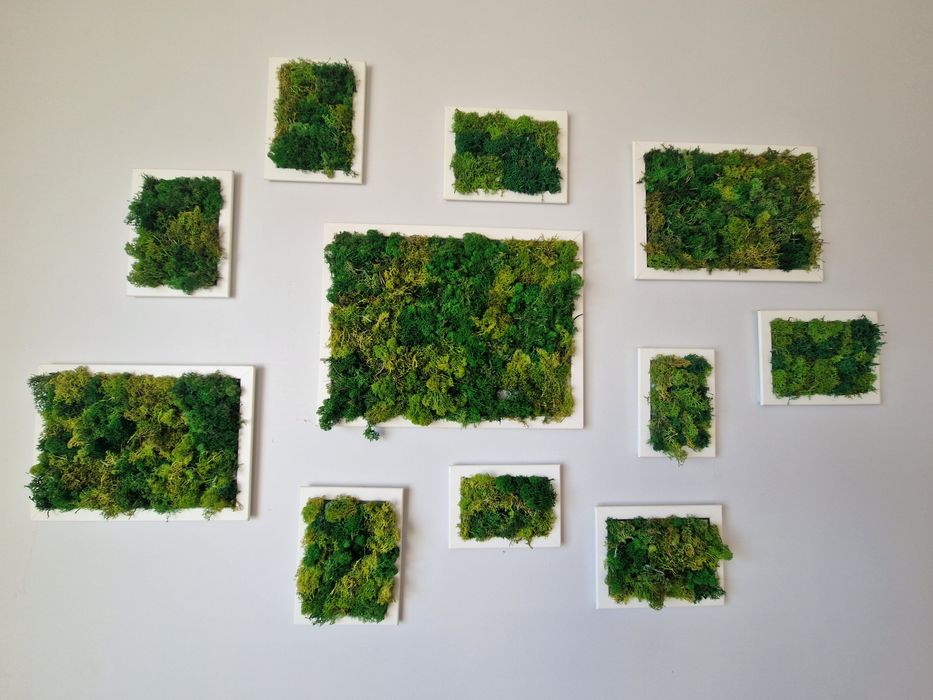 Kompozycja obrazy sztuczny mech