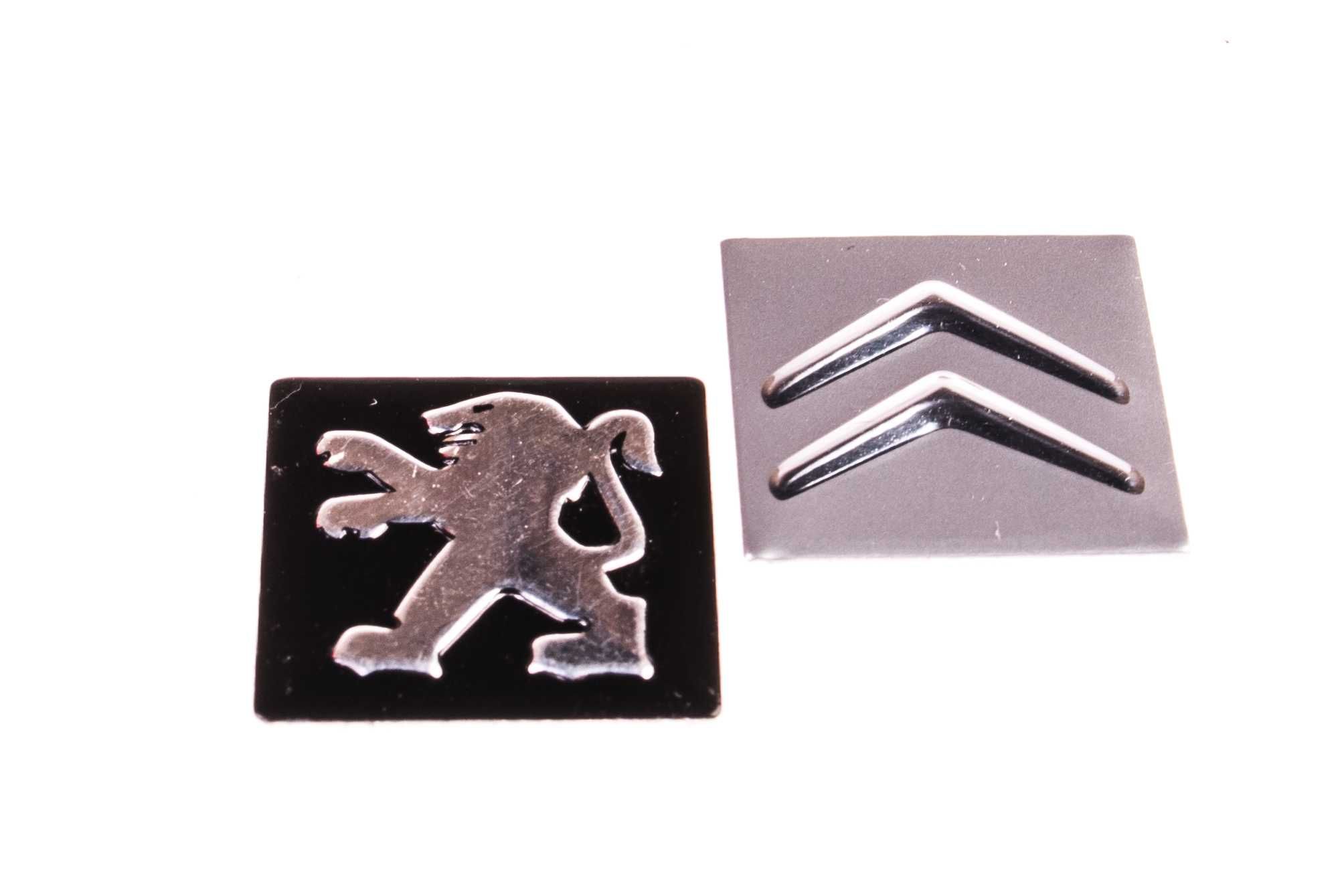 Peugeot 407 307 Citroen C5 C4 C3 C2 obudowa kluczyk pilot LOGO 308 207