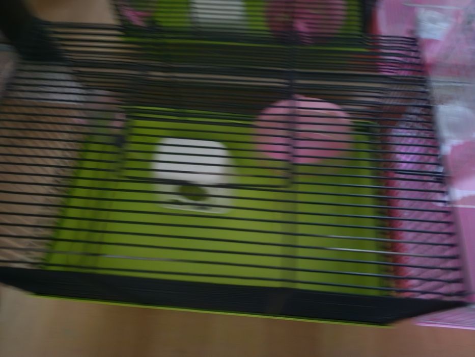 Klatki dla chomików