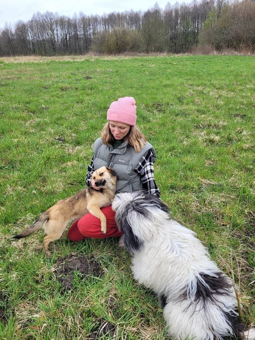 Opieka nad psem/kotem, petsitter, Warszawa, Bielany