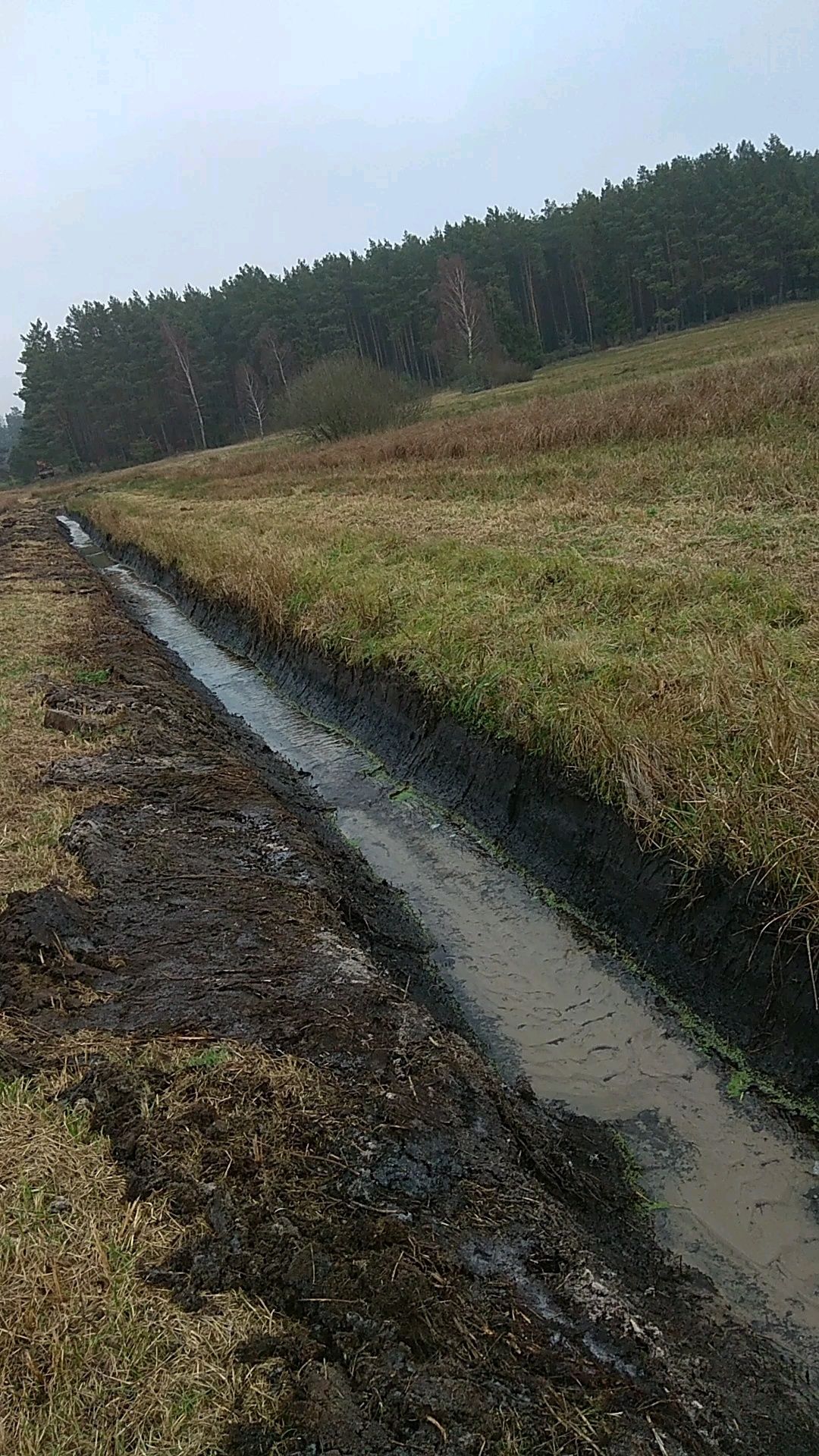 Usługi koparką 2,5t, 5,5t, 22t
