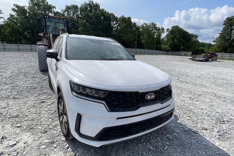 Kia Sorento 4 IV 2020 бензин 2.5 автомат