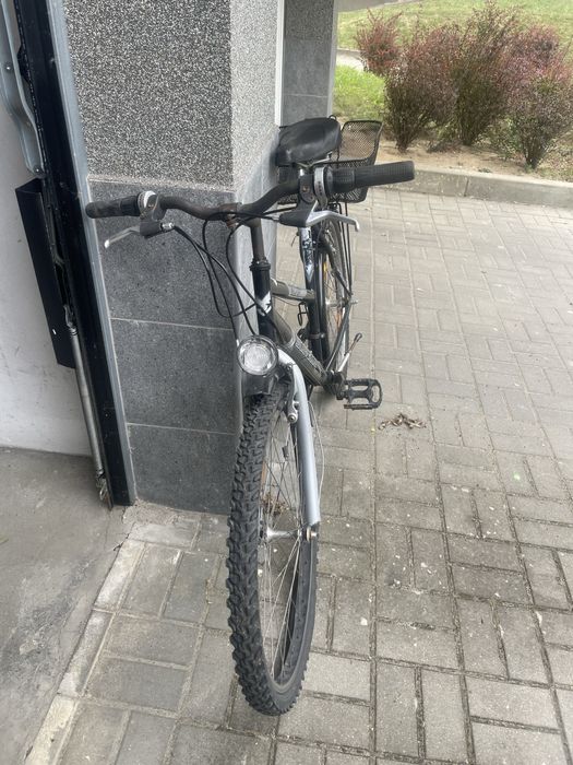 Rower Cordoba MD5 26’