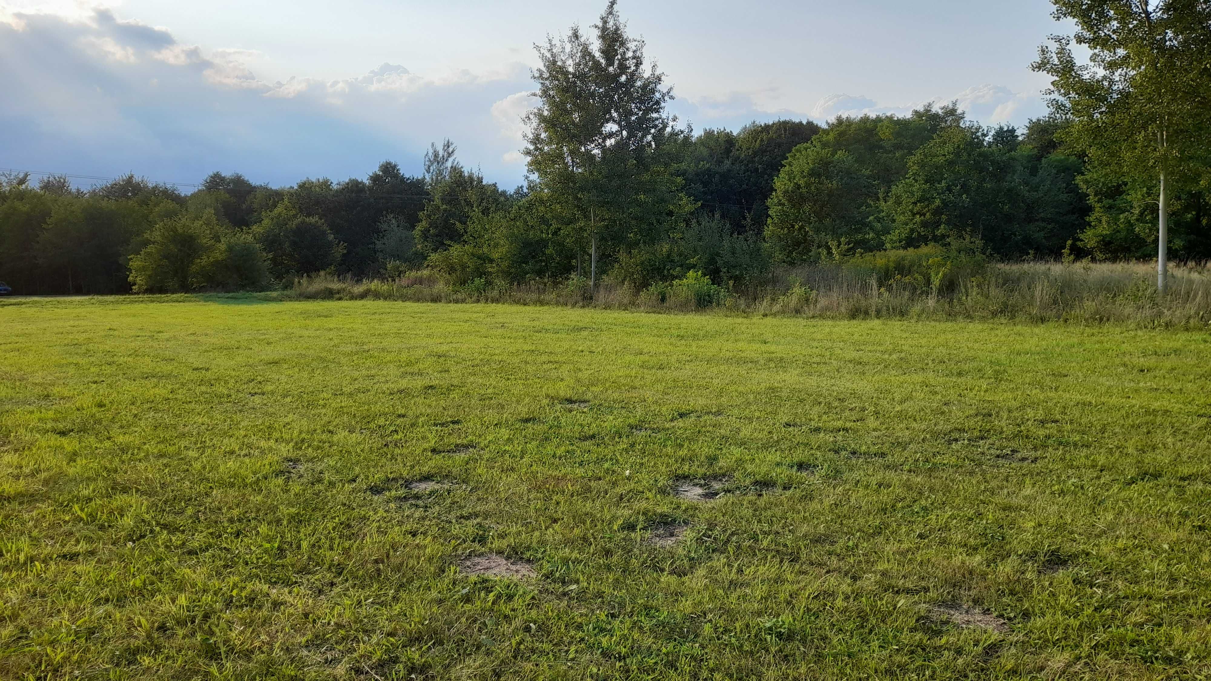 2448m2 cała BUDOWLANA, piękna okolica, Lasy, rezerwat 48km od Warszawy