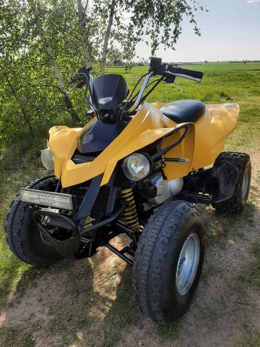 Can am ds250 Quad 250