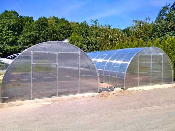 Szklarnia Tunel Ogrodowy 4x4 4x6 4x8 Poliwęglan 4mm / 6mm Prof.40x20mm