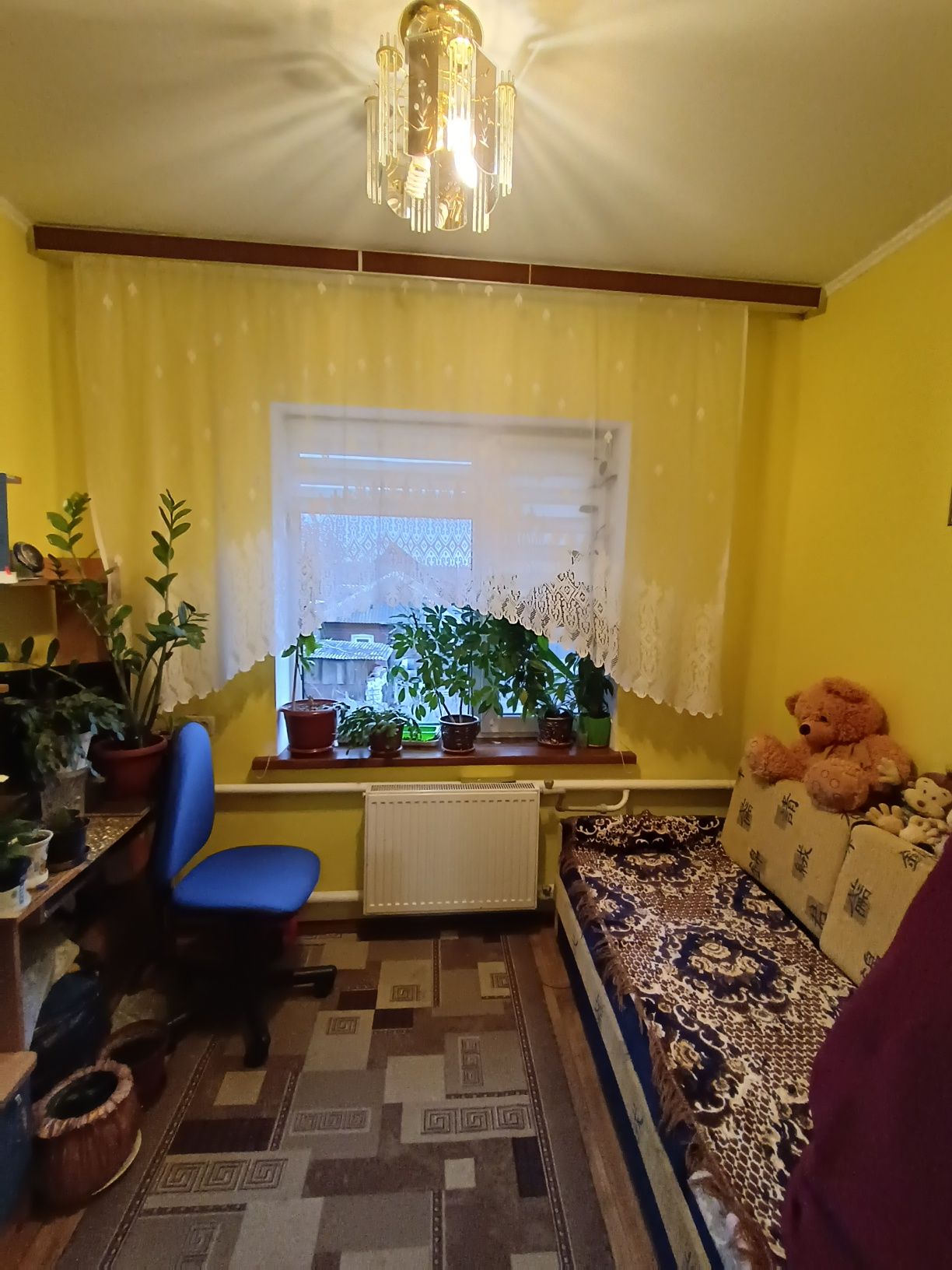 Продаж окремого будинку по вул. Кропивницького