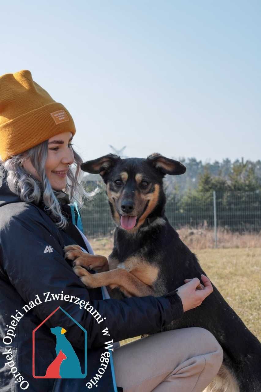 RADOSNA, ODDANA Nuta, 14 kg - kocha ludzi, uwielbia się przytulać
