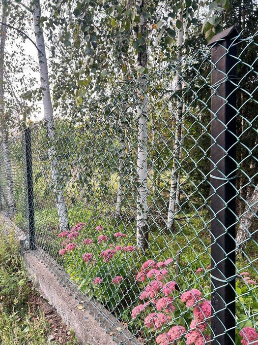 Сітка рабиця металева в ПВХ для бюджетної огорожі