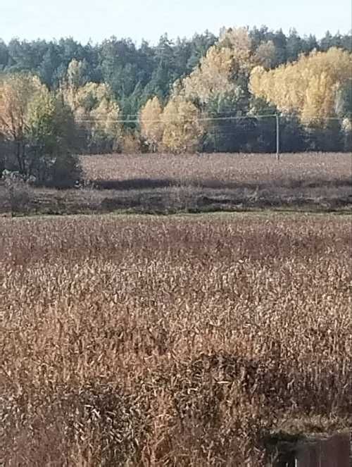 Будинок в с.Селище Броварського р-ну ТЕРМІНОВО