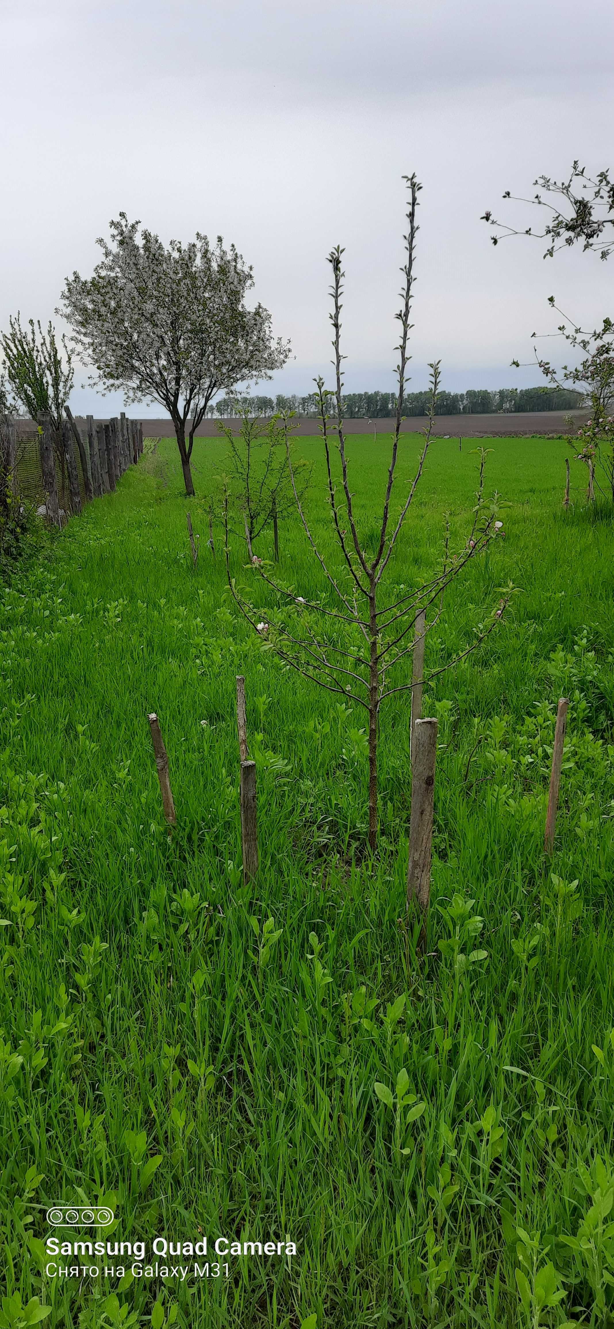 Продам земельну ділянку під будівництво