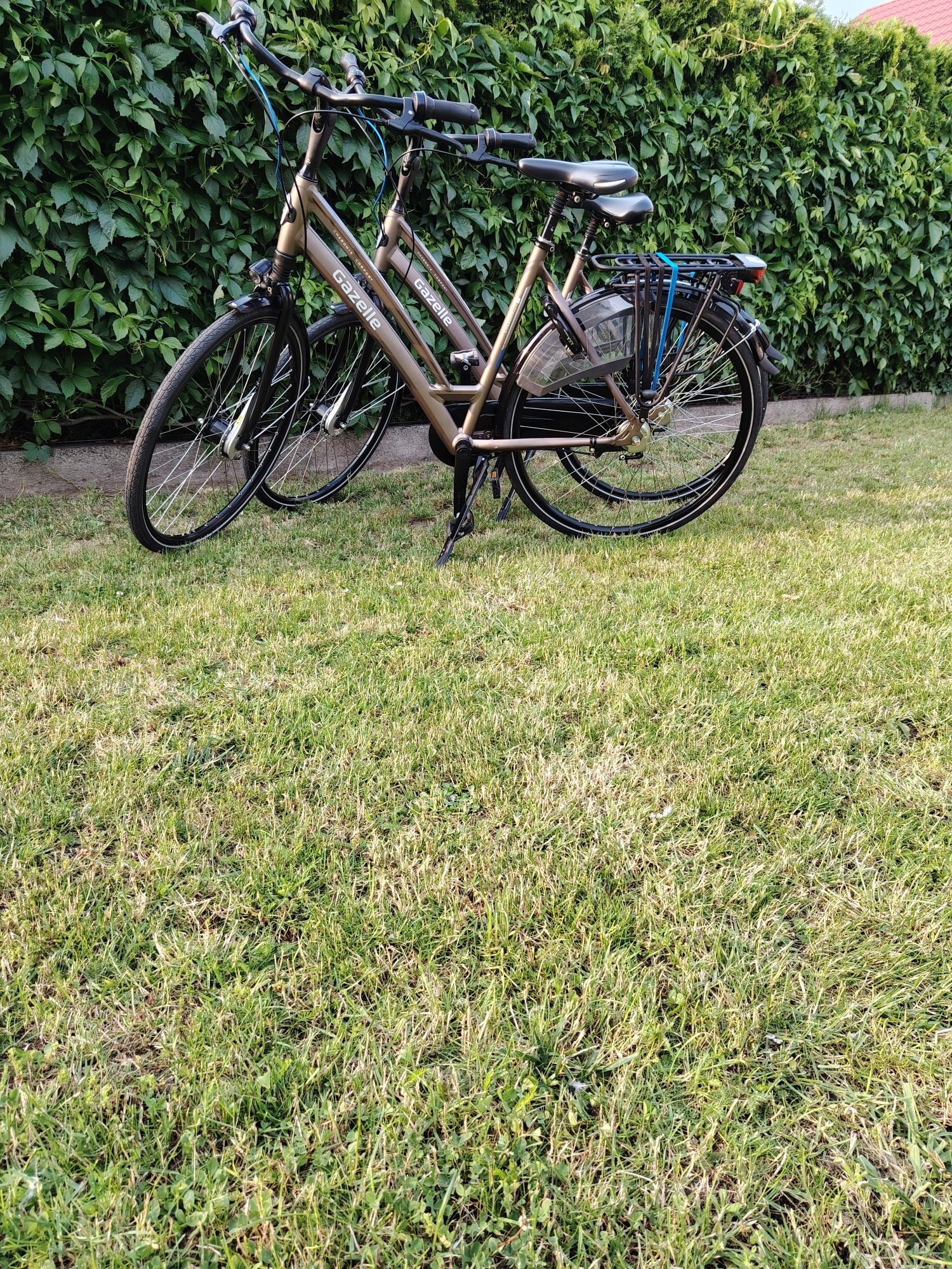Gazelle Chamonix C7