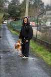 Passear Cães/Dog Walking