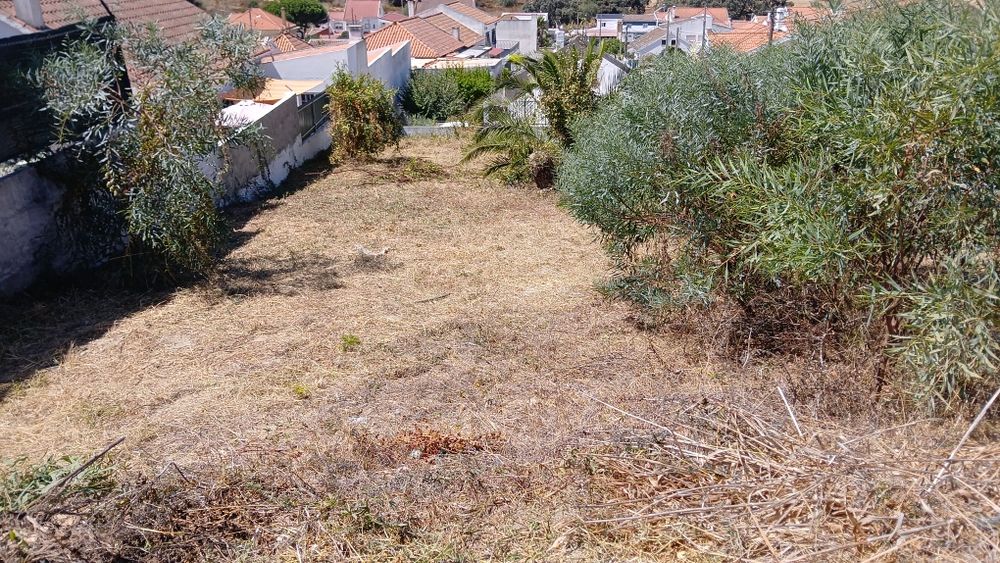 Limpeza de terrenos e manutenção jardins