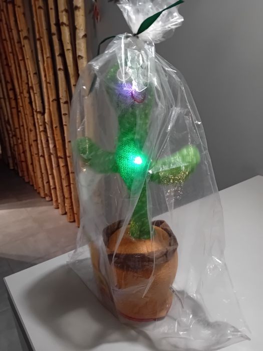 Gadający kaktus śpiewa tańczy powtarza wszystko zabawka Nowa