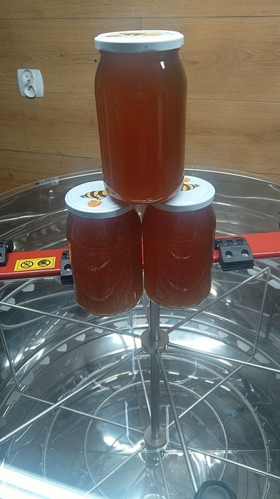 Miód lipowy z terenów leśnych