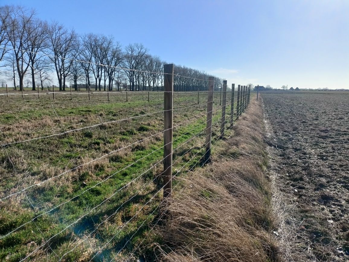 Ogrodzenie Leśne Ogrodzenie Tymczasowe Budowlane