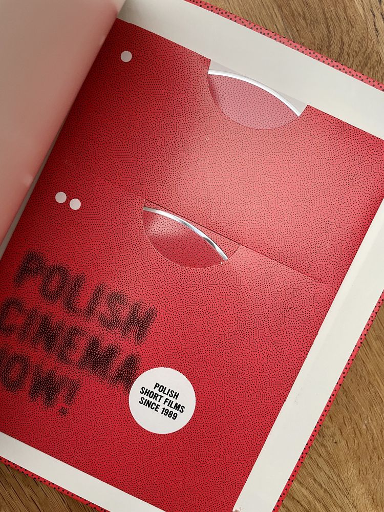Polish cinema now. Nowa! Po angielsku.