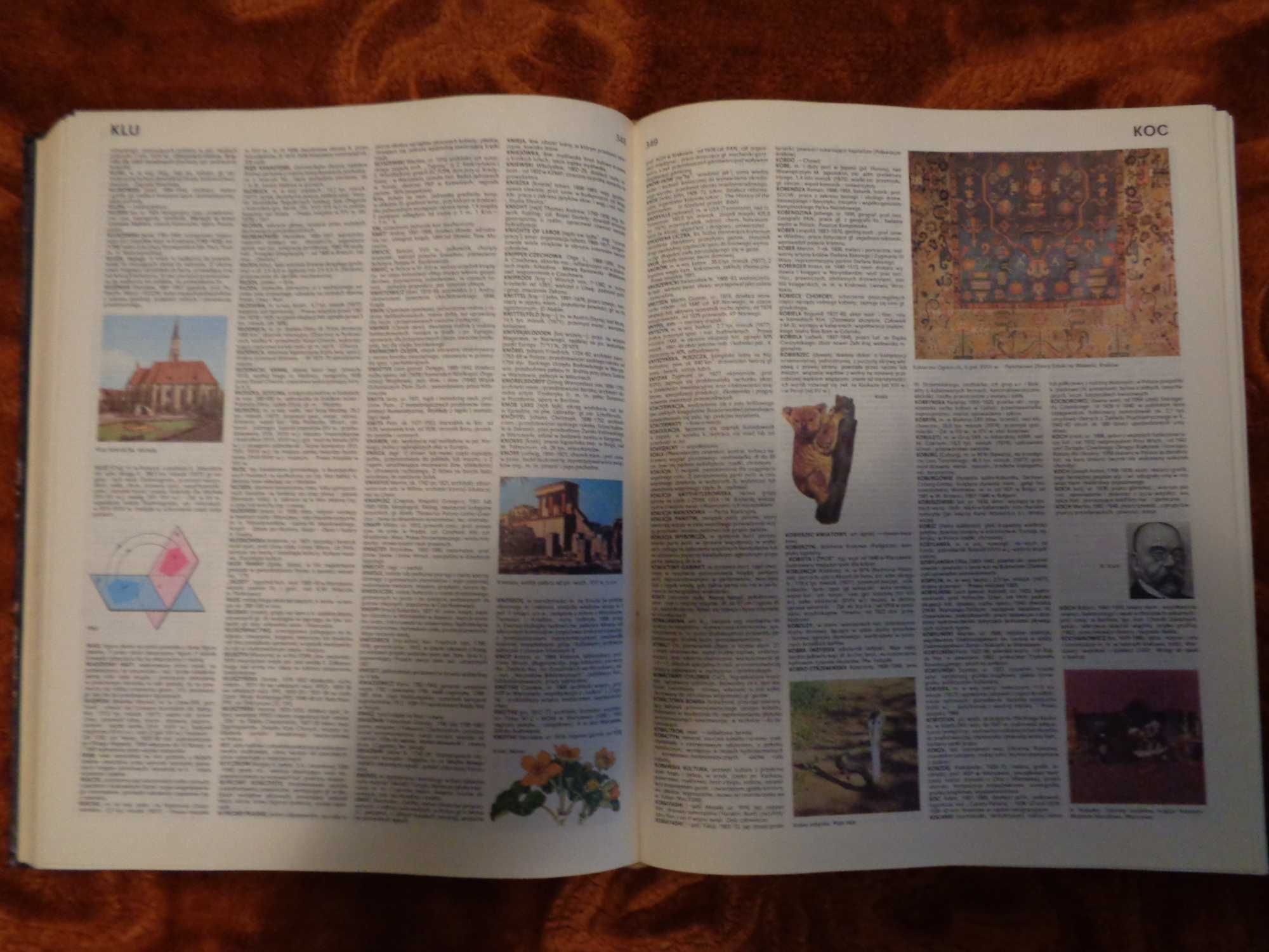 Encyklopedia Popularna PWN