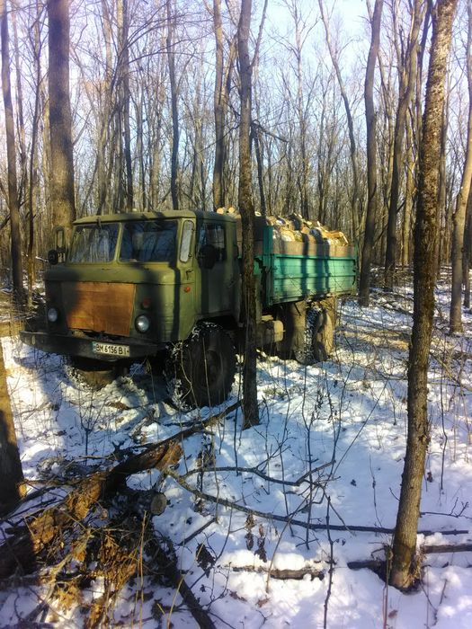 Дрова твердих порід