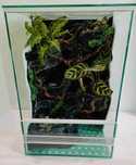 Terrarium z wbudowanym wodospadem  gekona orzęsionego AquaWaves TW68WB