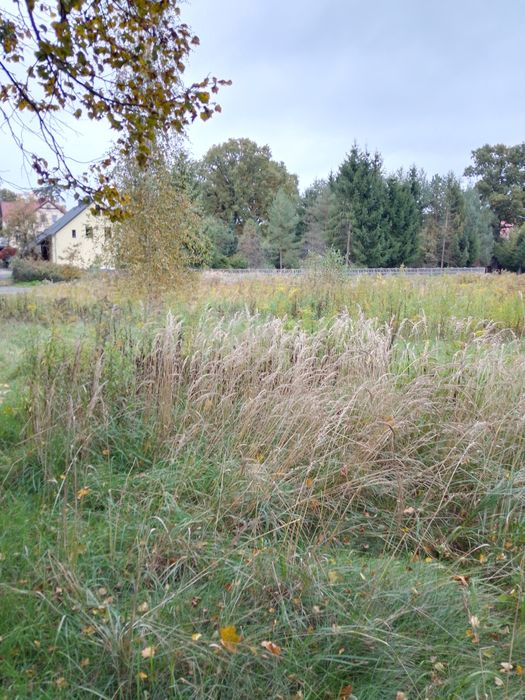 Sprzedam działkę budowlaną