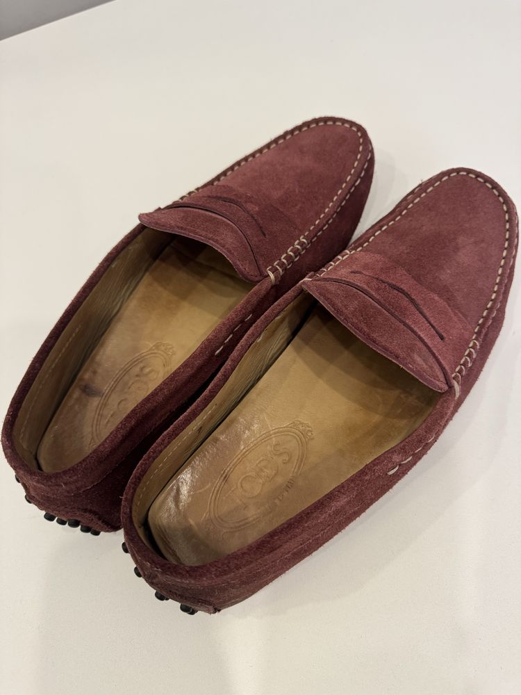 Чоловічі туфлі Tods , Fabrizio Sassetti