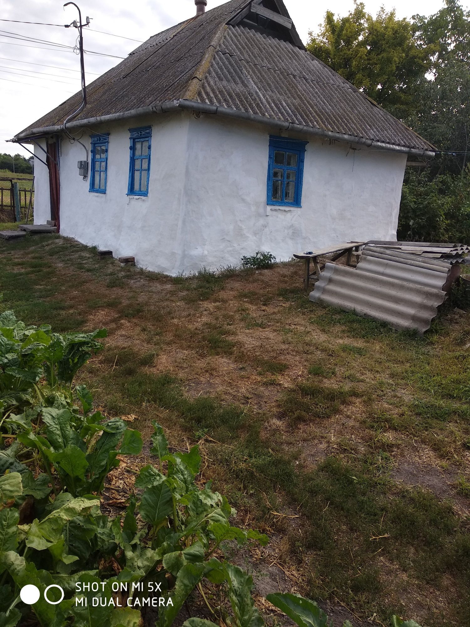 Хата село Чепеліївка