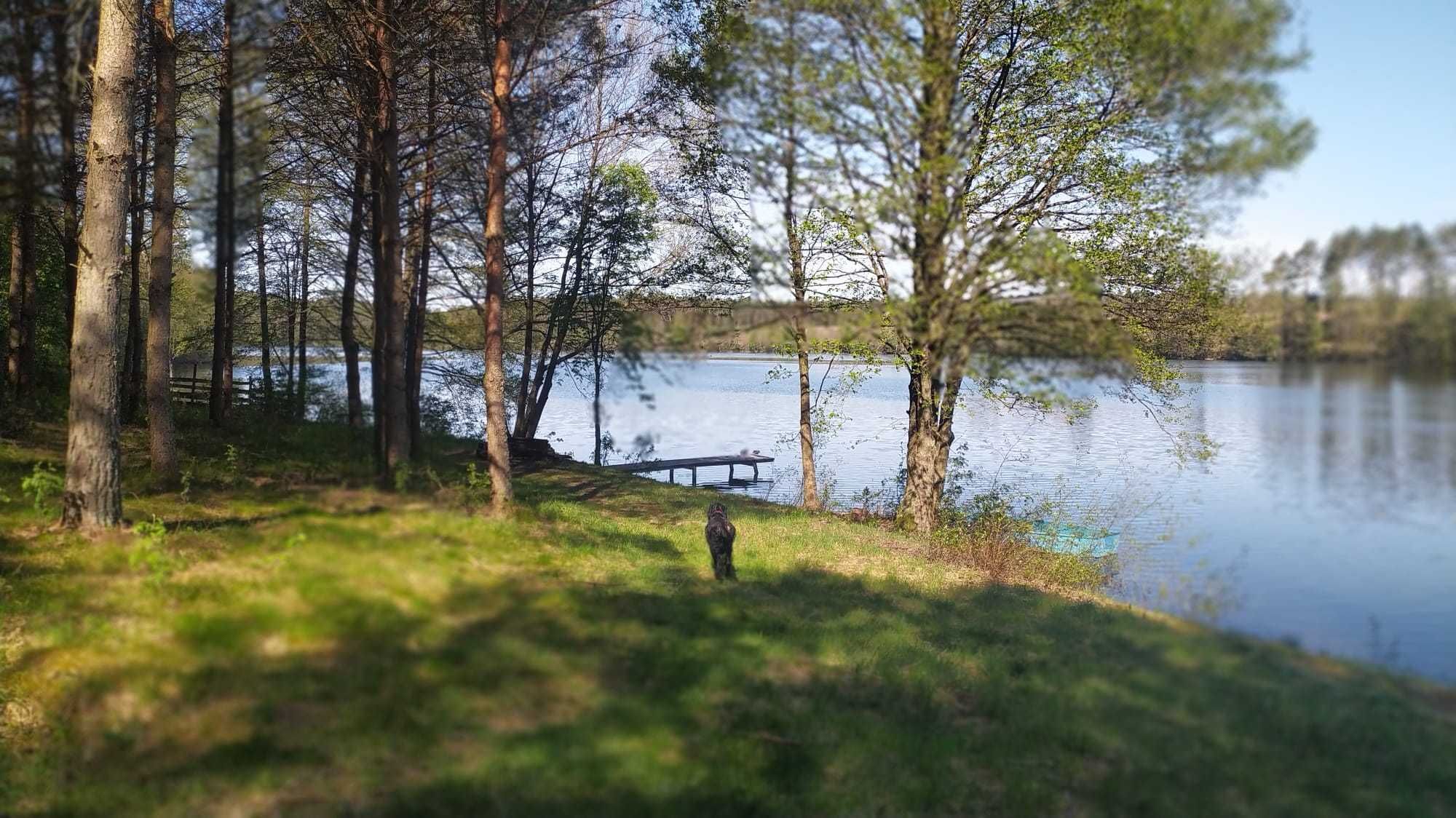 Kaszuby - Dom nad jeziorem z balią opalaną drewnem i bilardem