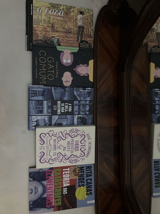 Literatura 50% desconto (ver preço individual)