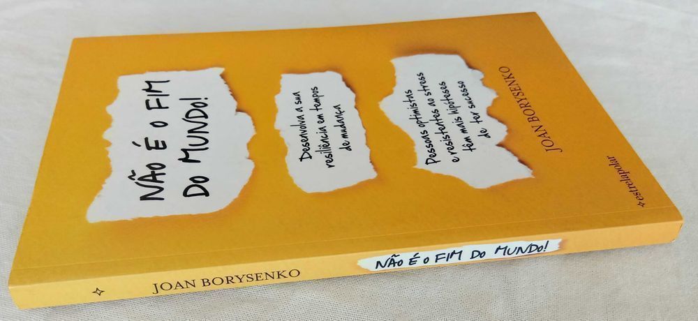 Livro Não é o Fim do Mundo de Joan Borysenko [Portes Grátis]